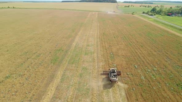 Combine Harvesters in the Field in Sunny Weather