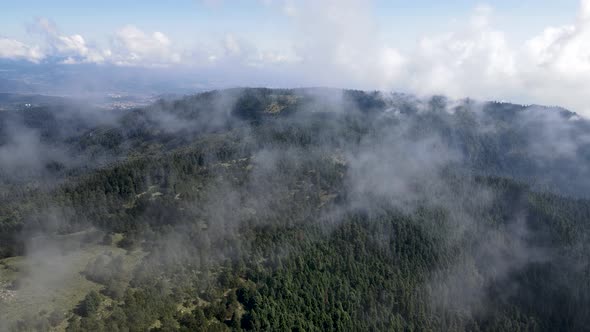 Beatiful scene of forest near Mexico city seen from  drone