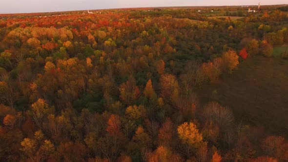 Aerial view of fall foliage on colorful hardwoods. Trees full of autumn colors lit by the fading sun