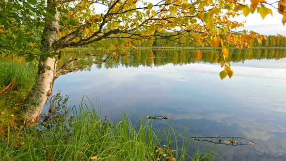 Autumn Nature Landscape of Finland - Golden Birch Leaves and Lake with Sky Reflection