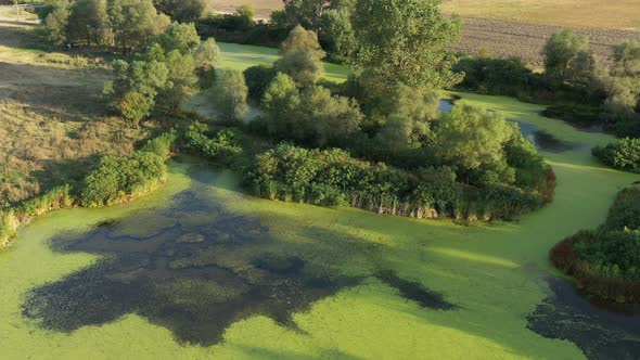 Flight Over A Beautiful Lake Dotted With Green Vegetation 21