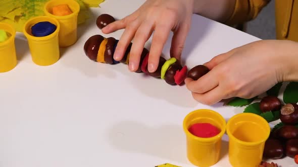 A Woman Creates an Autumn Craft Caterpillar From Dough for Modeling and Chestnuts