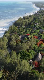 Vertical Video of the Ocean Near the Coast of Zanzibar Tanzania