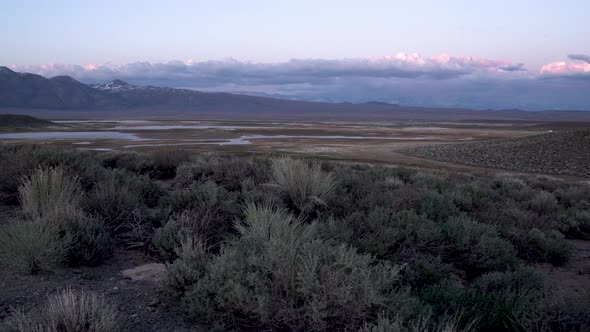 Shrubs in Mojave Desert, California with small reservoir lake in the distance, Aerial flyover low sl