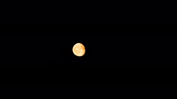 Warm Yellow Full Moon