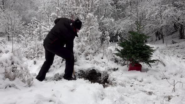 Couple planting a new tree