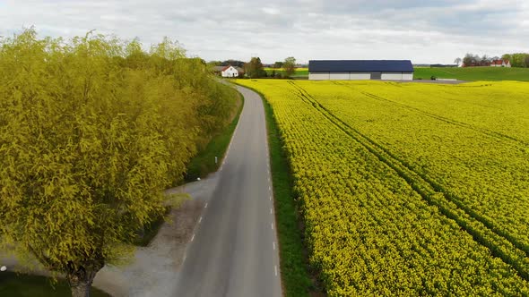 Drone going along street with fields on both sides, south Sweden prt2