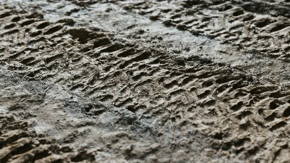 Wheel Tracks on Rough Road alt