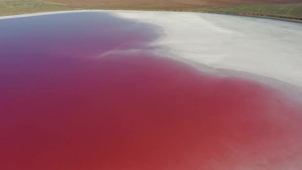 Beautiful top view of the salty, pink lake. Beautiful pink sunrise.