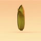The Cob of Corn is Spinning - VideoHive Item for Sale