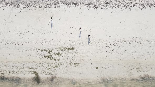 Zanzibar Tanzania  People Play Football on the Beach Slow Motion