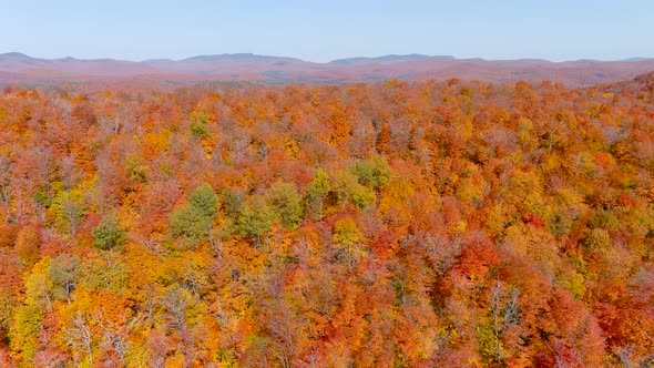 Aerial view of fall season foliage colors.