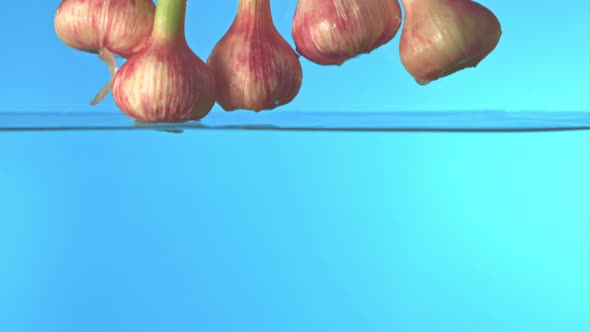Super Slow Motion Fresh Garlic Falls Into the Water with Splashes on a Blue Background