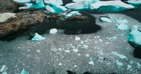 Icebergs and coast