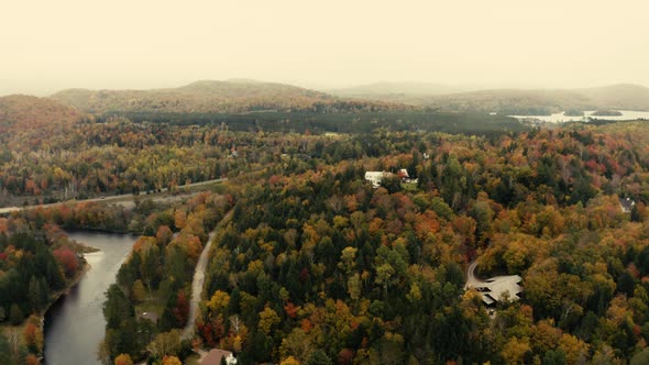 Autumn leaves. beautiful colors - Landscape -  4k - Drone - Sequence 002/002