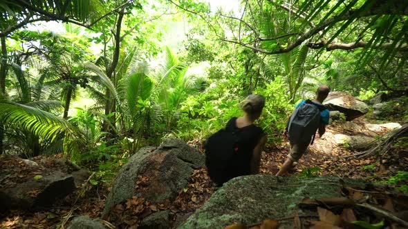 Walking on Path in Tropical Forest