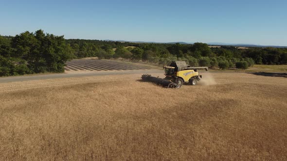 Wheat Harvesting with Tractor in Agriculture Farm Field