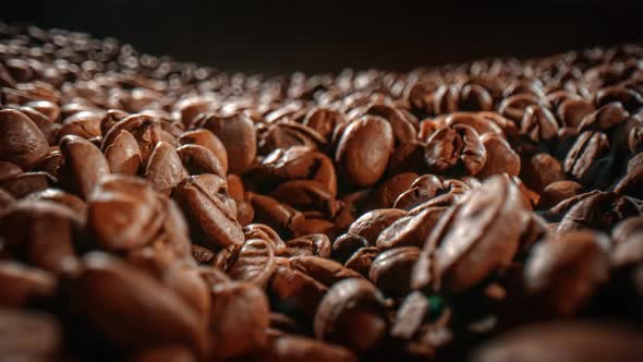 Close Up of Seeds of Coffee