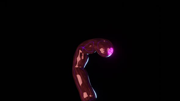 Jittery other-worldly shiny creature with pink eye frantically looks around motion graphics 3D loop