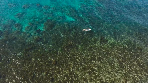 Surfers on the Water Surface