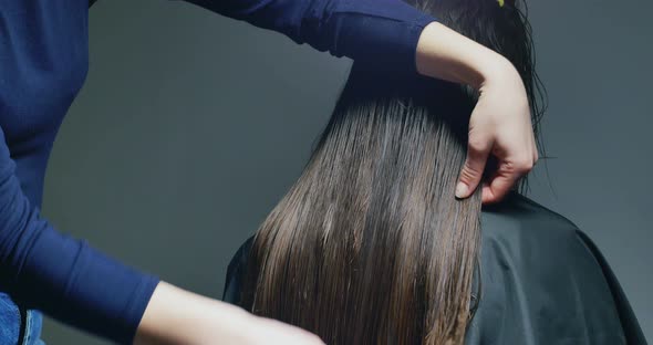 Woman Stylist Combing Hair. Hair Preparing