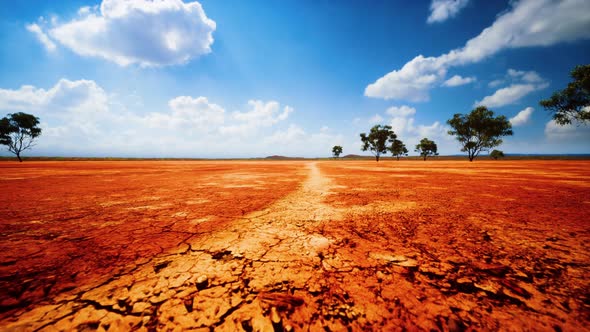 Cracked Ground Dry Land During the Dry Season