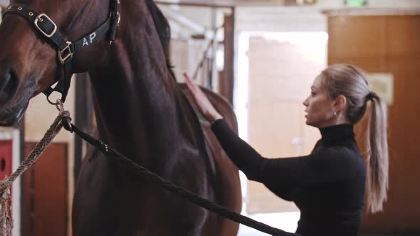 Woman with High Ponytail Petting Dark Brown Horse