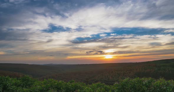 Time lapse: sunset dramatic sky over rubber cashew trees industrial plantation 