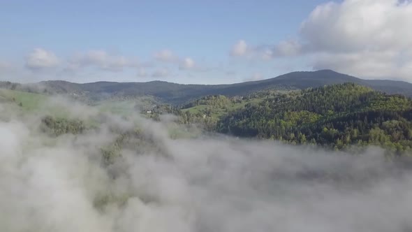 Clouds above Forest