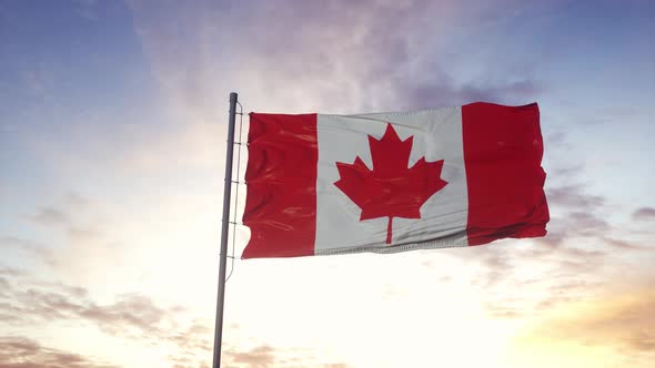 The National Flag of Canada Also Known As The Maple Leaf Fluttering in the Wind