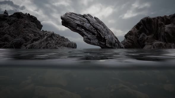 Half Underwater in Northern Sea with Rocks