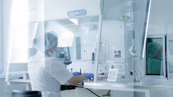 Female Scientist Looking Microscope Eyepiece. Portrait of Woman Scientist Looking Through Microscope alt