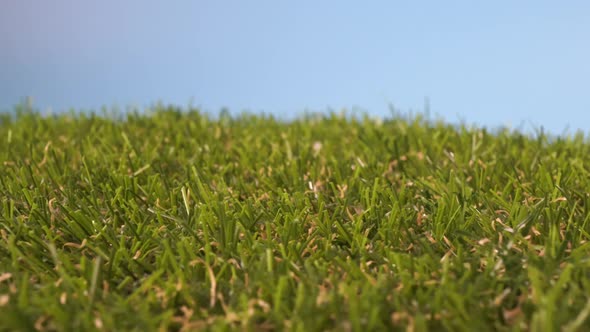 Artificial green grass lawn