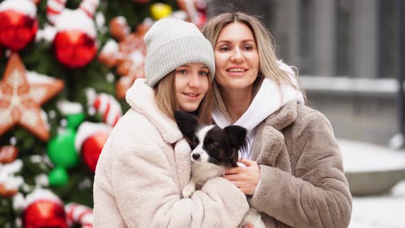 Beautiful Mom and Daughter with Dog Papillon Near Christmas Tree on Street