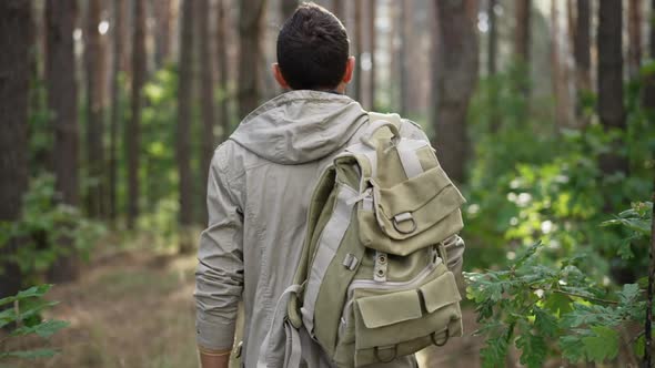 Back View Confident Backpacker Walking in Sunny Summer Spring Forest Outdoors Looking Around