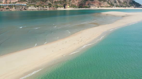 Birds' Flock Fly Across Picturesque Seascape Under the Bright Sun