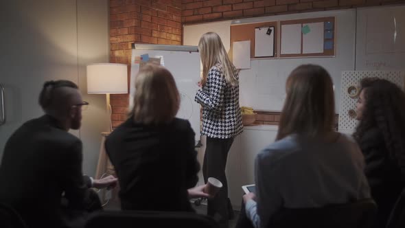 Female Manager Presents New Project Plan To Colleagues at Meeting, Explaining Ideas on Flipchart