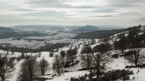 Low flyover above bare deciduous trees dotting scenic winter landscape.