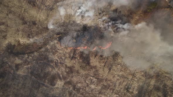 Aerial top-down orbit over the wildfire in the suburban area - natural disaster due to the global wa