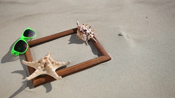 Seashells on Sand Beach