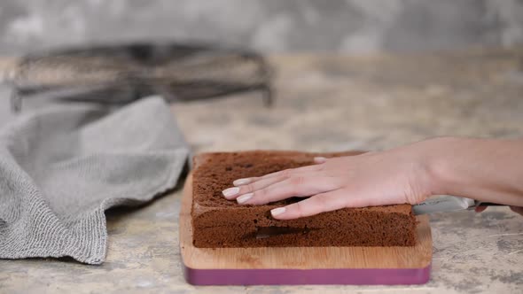 Woman Hand Cutting Sponge Cake, Home Baking