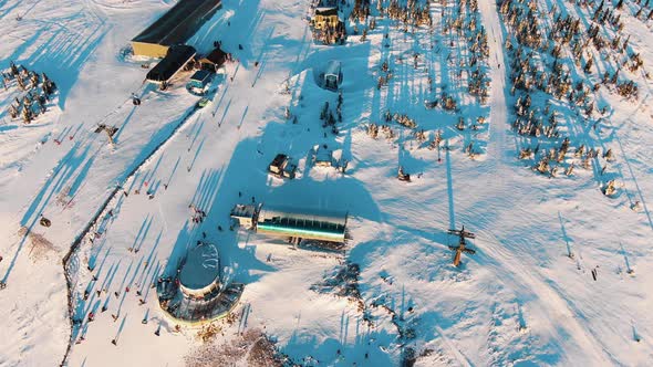 Mountain Slopes with Pine and Skiing Pistes with Chairlift