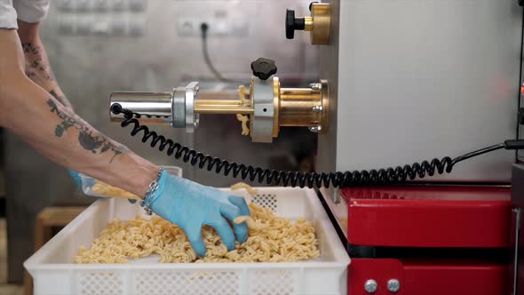 Tortiglioni Cazarece Spaghetti Pasta Falling From a Spout As They Travel Along the Production Line