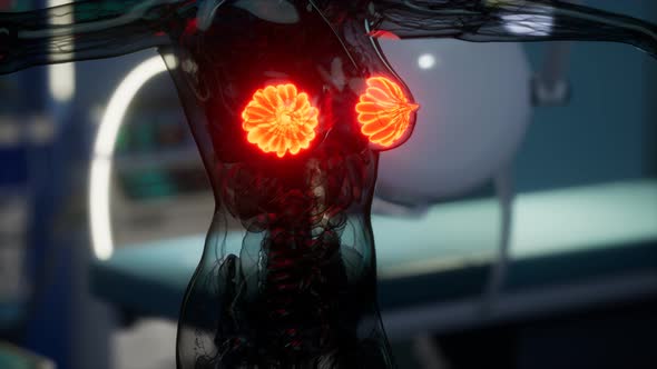 Medical Scan of Woman Breast alt