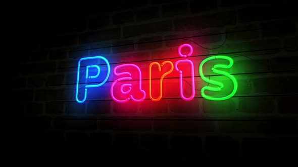 Paris symbol neon on brick wall 3d