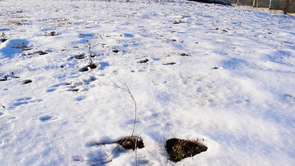 White snow on the ground and a guest house on the hill