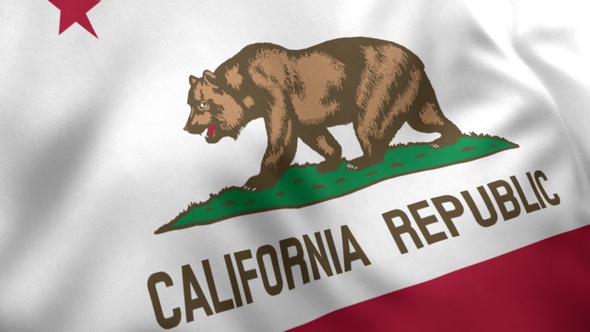 California State Flag