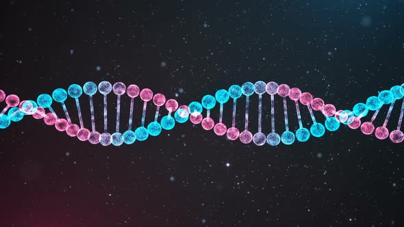 BiColor DNA Chain Loop alt