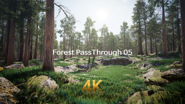 Forest Pass Through 4K 05