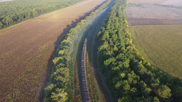 A Long Train with Wagons Travels By Rail a View From a Drone on Rail Freight and Nature